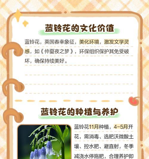 哪种花的花语是不离开？它在花语中象征着什么？