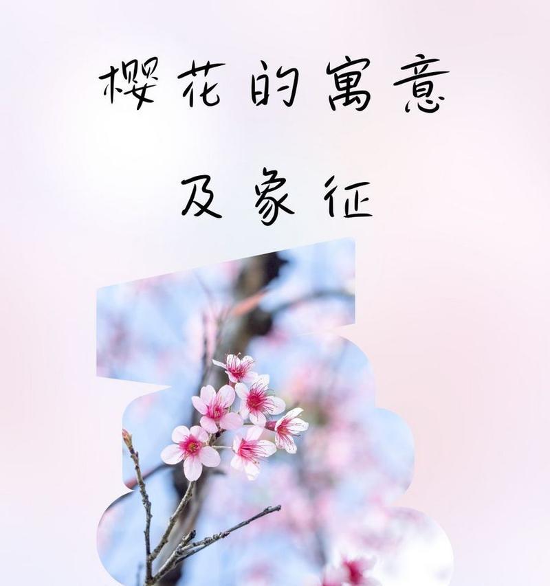 樱花唯美的花语是什么？樱花如何用花语展现唯美的情感？