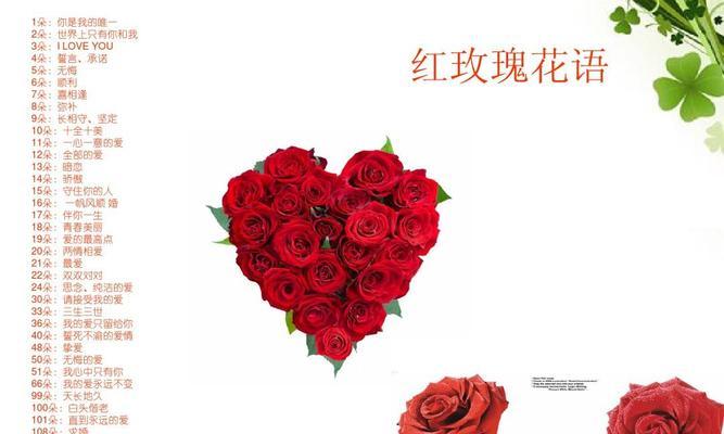 标号点数的花语是什么？它有什么特别的含义？