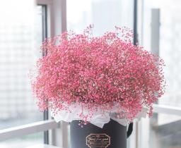 大雪玫瑰在俄罗斯的花语是什么？