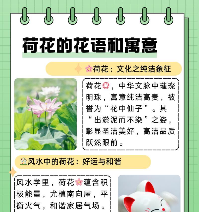 无畏契约莲花古城的花语是什么？如何理解莲花古城的花语含义？