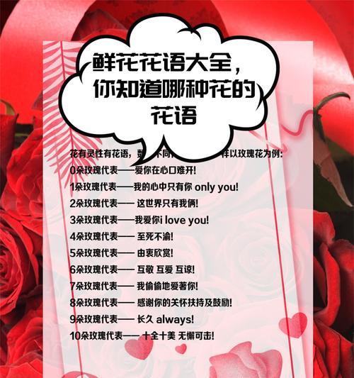 白淡玫瑰花语传达了哪些情感？