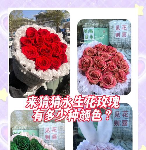 粉玫瑰花的花语是什么？送给女生有何特别含义？