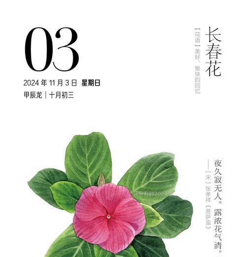 哪种花代表永恒决心？永恒决心的花语是什么？