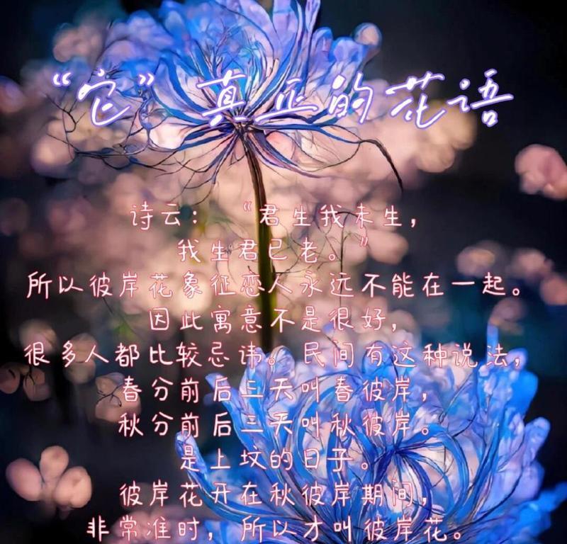 永远都爱自己的花语是什么？花语鸣笛又是什么意思？