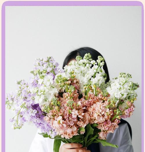 紫罗兰杯子的花语是什么？它代表了什么？
