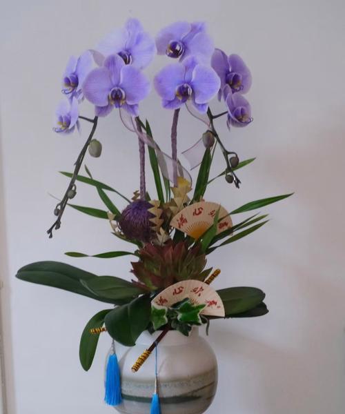 道具美丽的兰花花语是什么？道具美丽的兰花寓意有哪些？