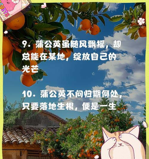 蒲公英的花语代表什么？如何解读蒲公英的深层含义？