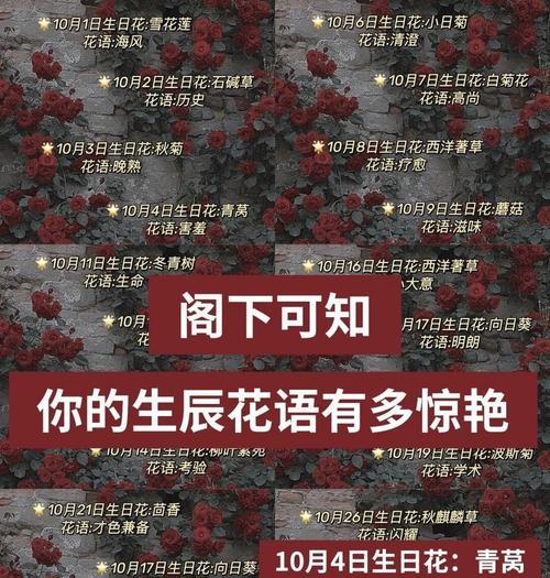 2月24日对应的花语是什么？