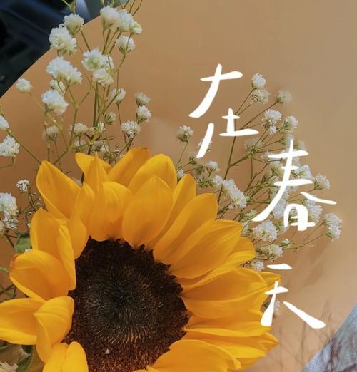 向日葵的花语对小袁有何意义？