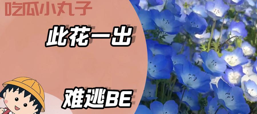 苍月草的花语是什么？蓝色苍月草有何特别含义？