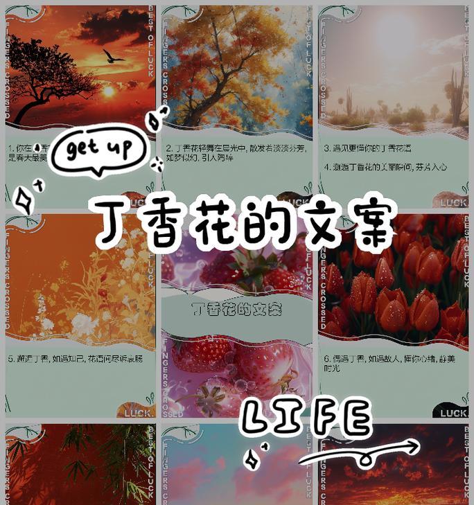 恰似丁香花的花语什么意思？丁香花的寓意是什么？