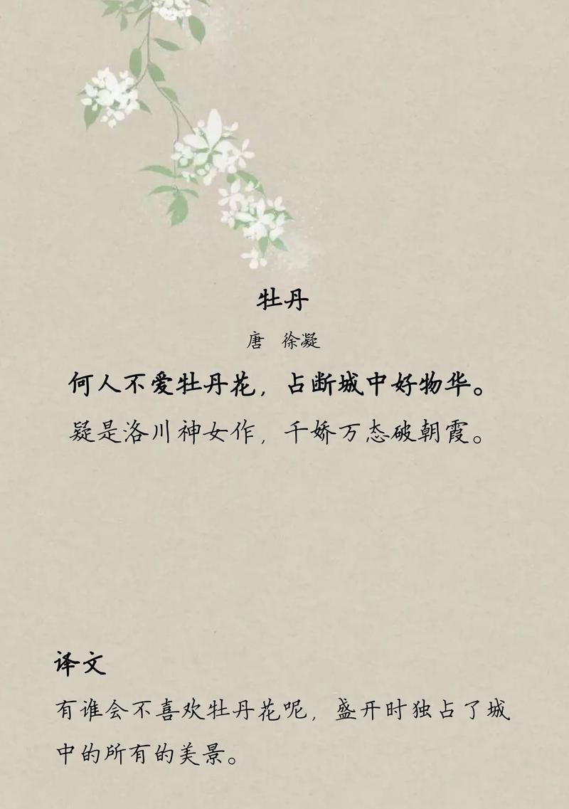 牡丹花开门见山的寓意是什么？