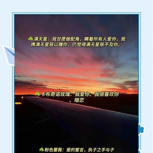 愿意了解你的花语有何含义？表达愿意了解的花语是什么？