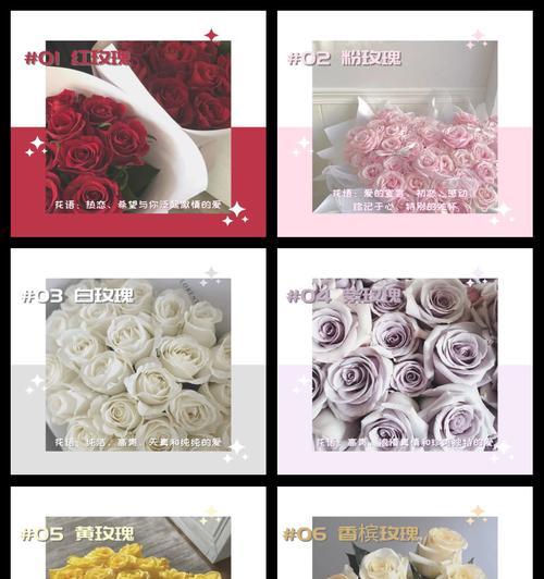 漾漾玫瑰花语代表什么含义？