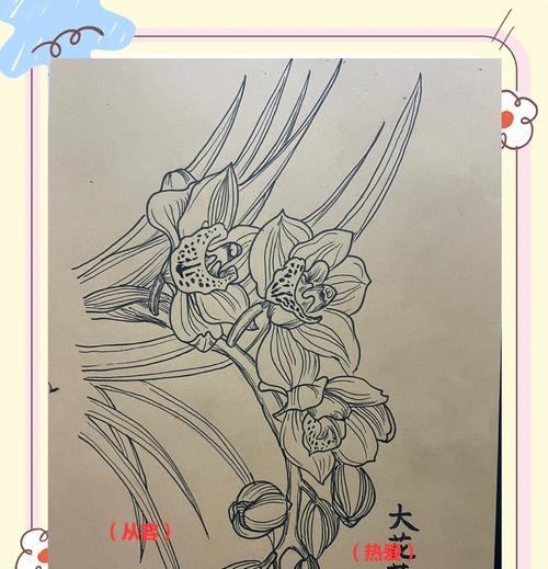 大花蕙兰的花语有哪些特点？