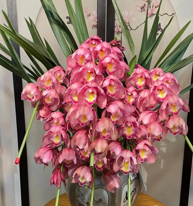 大花蕙兰的花语有哪些特点？