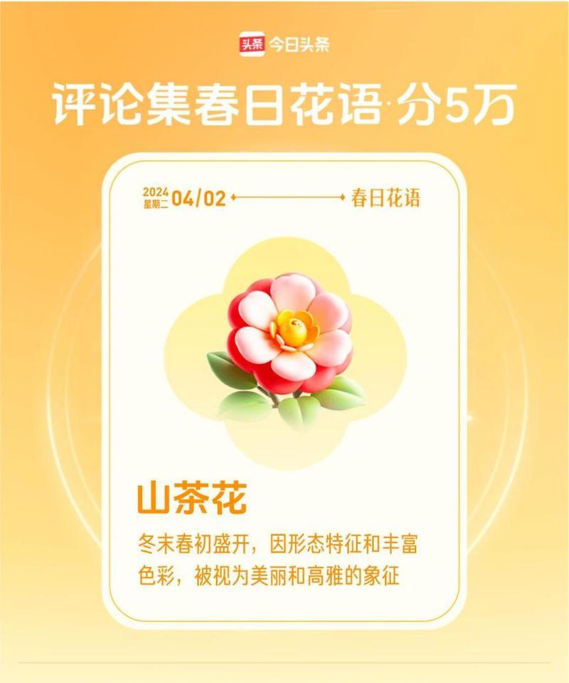 滇山茶花的花语和寓意有何深意？