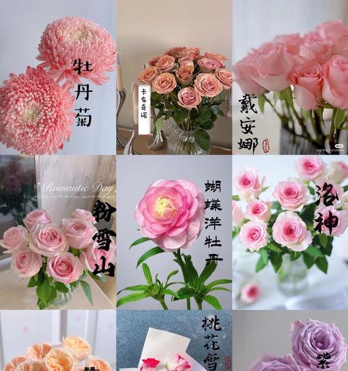 桃花的花语有哪些？长寿之花的花语有何寓意？