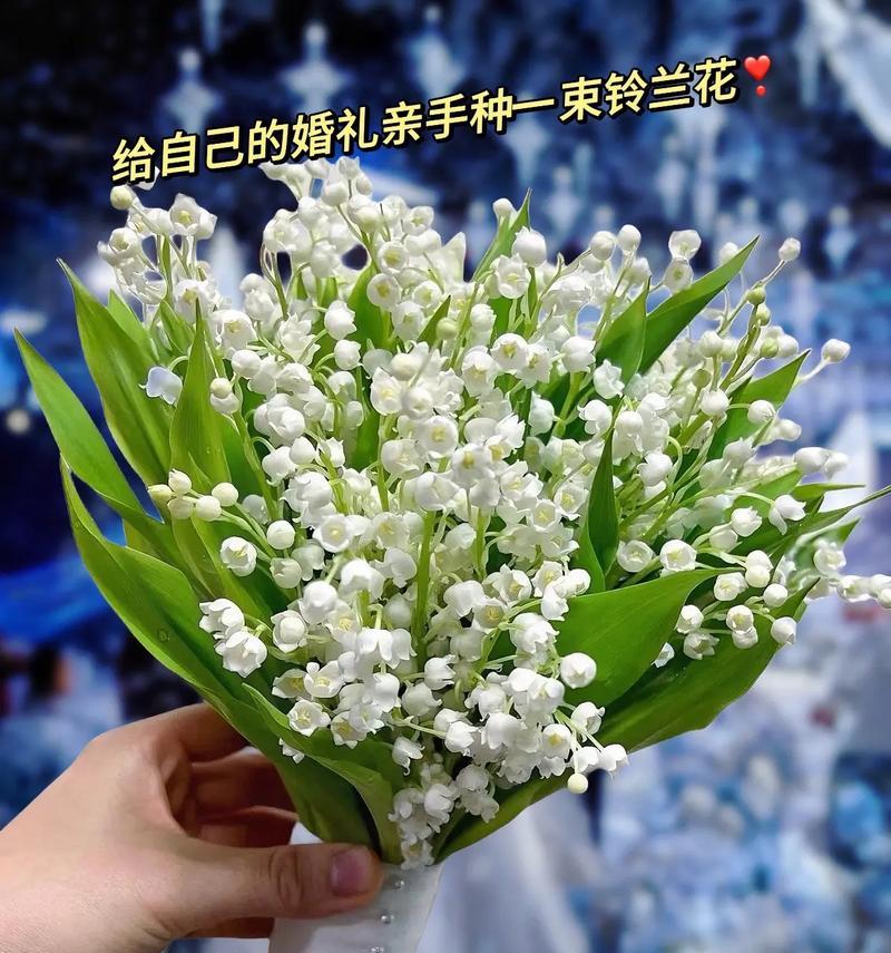 用情至深的花语有何含义？哪种花代表用情至深？