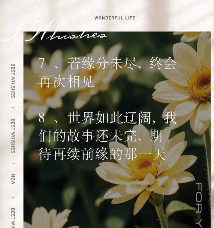 什么花语代表着会再见面？如何通过花语表达重逢的希望？