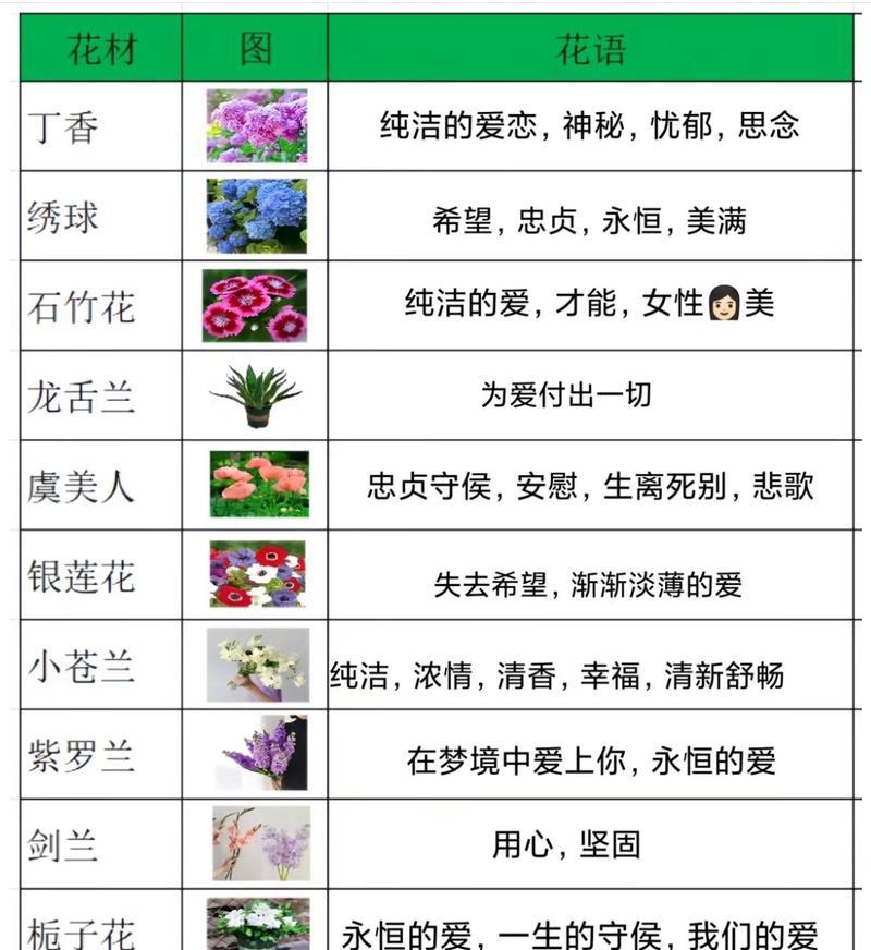 什么样的花具有花语？花语在送花时有何重要性？