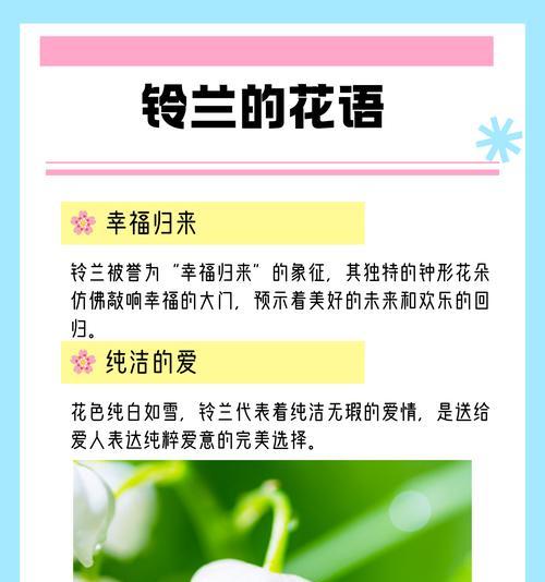 纯洁无暇的情感通常用什么花语表达？