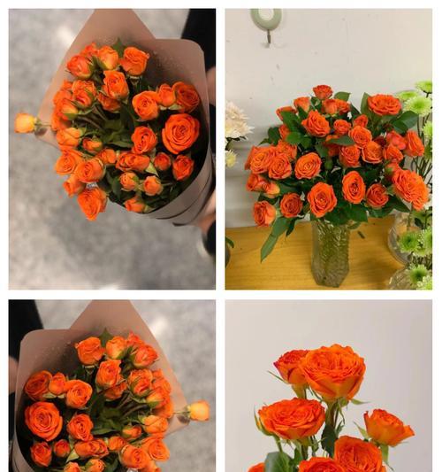 暖色调的花代表什么情感？它们的花语是什么？