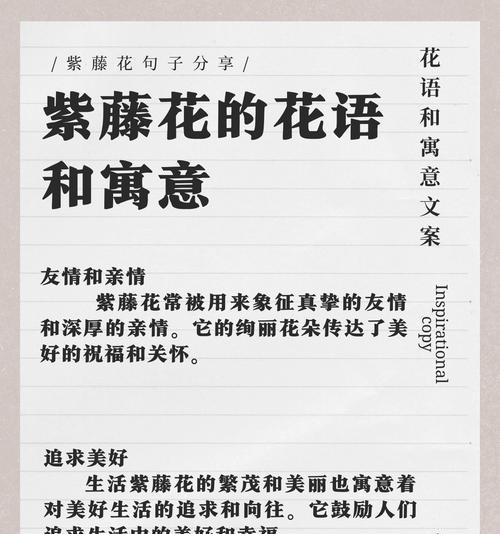 五万块钱的花语是什么？它传达了哪种情感？