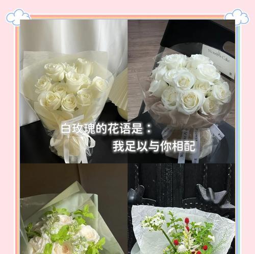 什么花语代表爱情？如何用花语表达爱意？