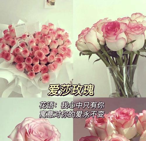 什么花语代表爱情？如何用花语表达爱意？