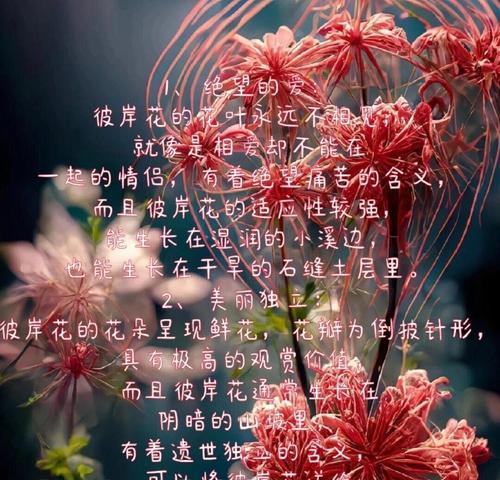 花与花搭配的花语是什么呢？不同花搭配的含义是什么？