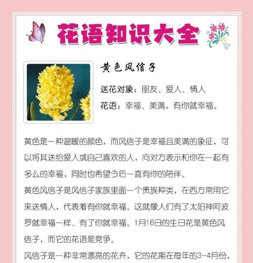 风信子与玫瑰结合的花语有何特别之处？代表了怎样的情感？