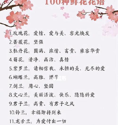 “千万人中我只选你”的花语是什么？哪种花代表这个意义？