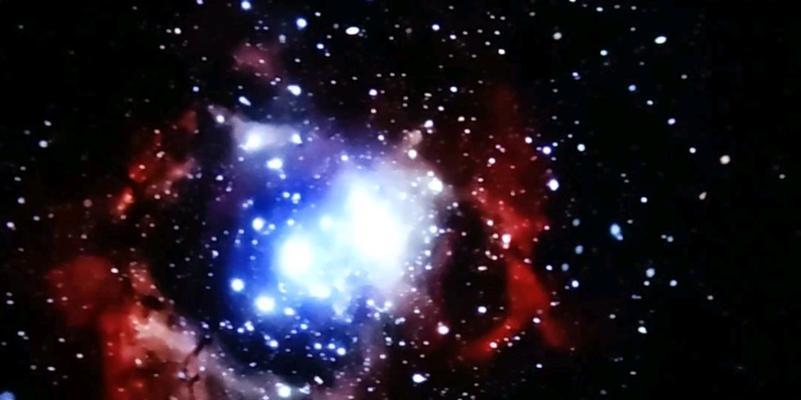 星空玫瑰传递了怎样的信息？