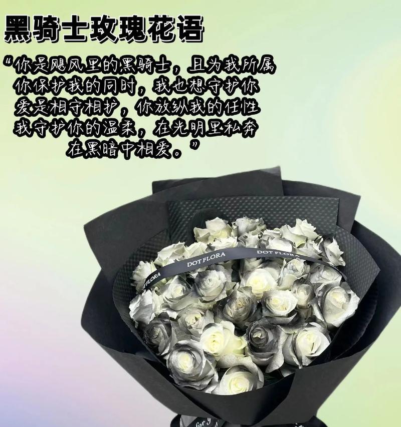 黑骑士玫瑰什么花语好看？黑骑士玫瑰的花语含义是什么？