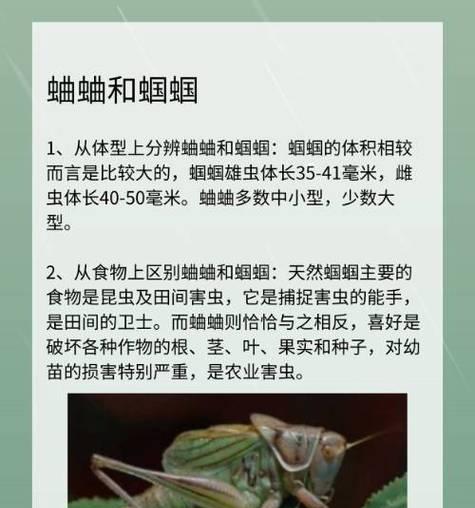 寻找蝈蝈的花语和寓意是什么？蝈蝈的花语有哪些？