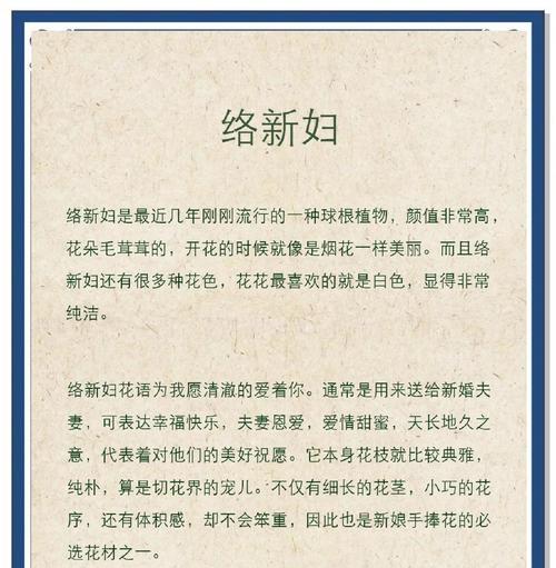 “不管什么事情会爱着你”的花语是什么？