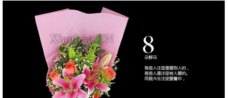 “不管什么事情会爱着你”的花语是什么？