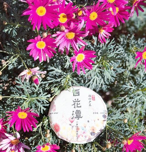 普洱花茶的花语有何特别之处？普洱花茶象征着什么？
