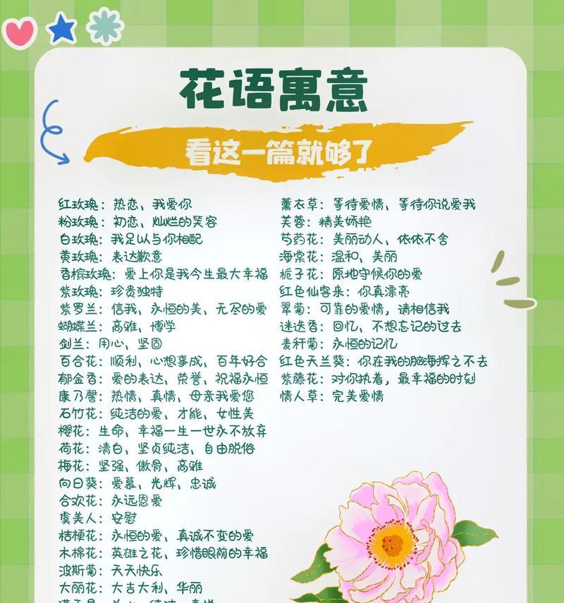 黄木香花语及其寓意是什么？
