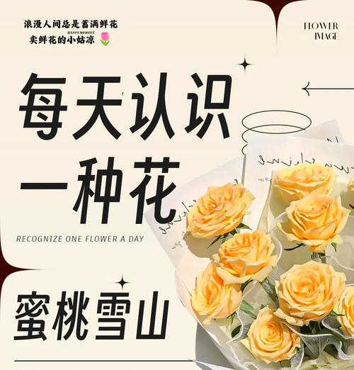 宿舍养花有哪些浪漫花语？如何选择合适的花卉？
