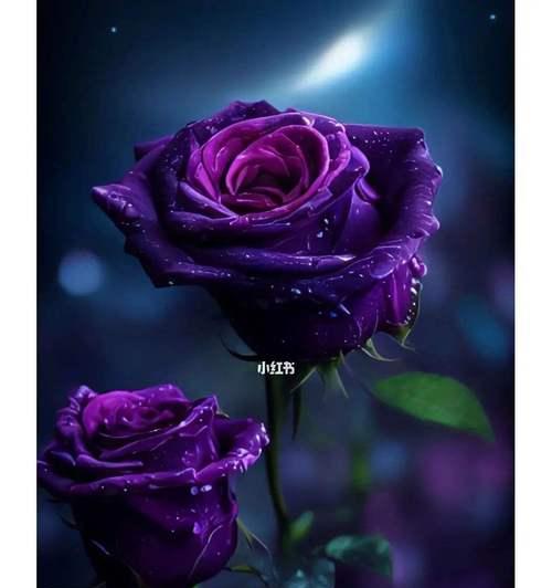 花不红的花语是什么意思？花的颜色变化对花语有何影响？