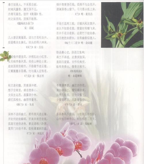 兰花的花语有哪些含义？