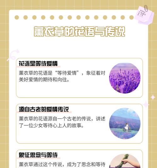 什么花的花语是诗意？哪种花象征着诗意？