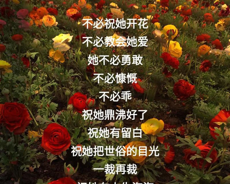花语“希望你一直快乐”表达了什么情感？