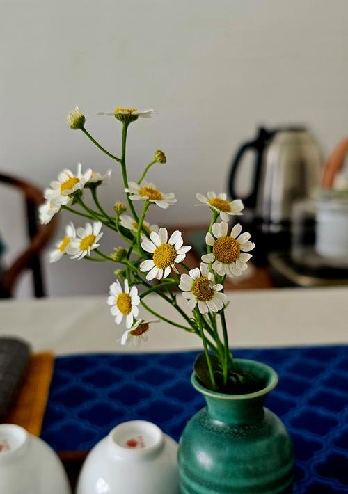素心花爬藤的花语代表什么含义？