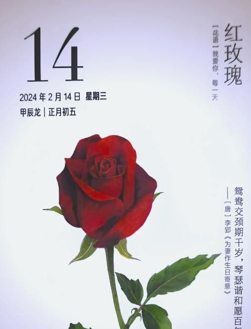 玫瑰花影映春天的寓意是什么？