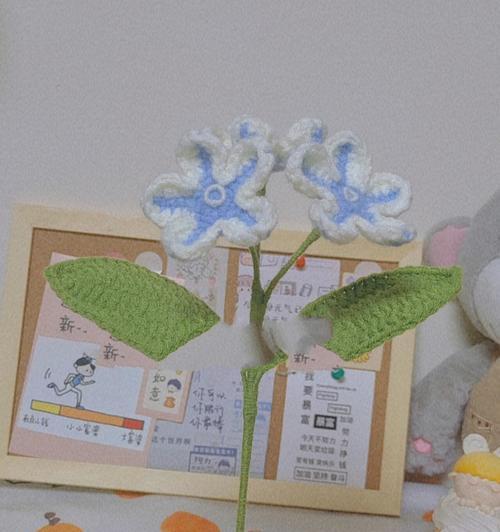 琉璃花语的礼物选择有哪些？哪种更适合？