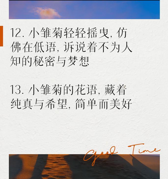 小雏菊的花语为何多样？它代表了什么？
